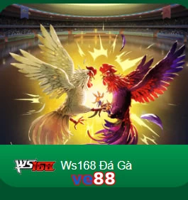 ve88